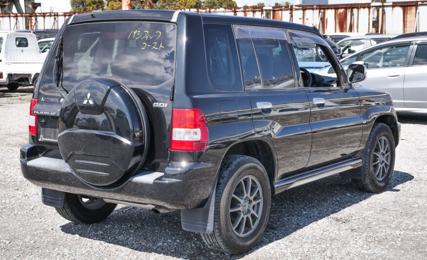 2001 Mitsubishi Pajero IO Rear Side View